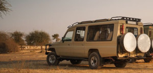 4×4 Seven Setters Landcruiser