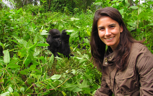 A guide shows visitors mountain gorillas in Bwindi, for tours booked via Entebbe airport car hire.